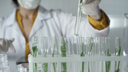 Unknown scientist wearing a lab coat, white gloves and protective face mask, is holding a test tube...