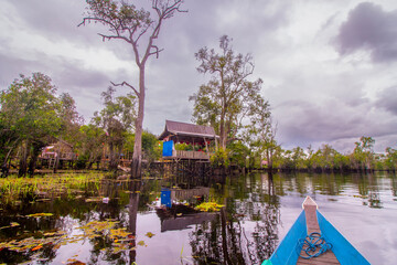 Lake Dayu with Unique Plants on it, located in Dayu Village, East Barito, Central Kalimantan, Indonesia