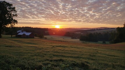 Fototapeta premium Breaking dawn over an organic supplement farm
