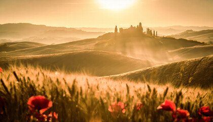 Poppies in a field at sunrise. Soft focus, warm light creates a peaceful, idyllic and nostalgic mood