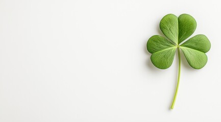 Lucky Shamrock with Green Leaves Symbolizing Irish Heritage Saint Patricks Day Background Celebration