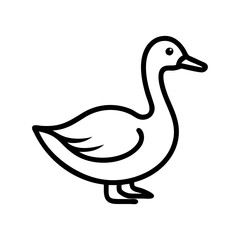 duck isolated on white background