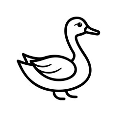 duck isolated on white background