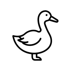 duck isolated on white background