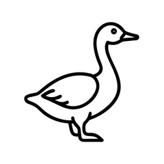 duck isolated on white background