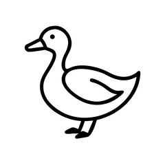 duck isolated on white background