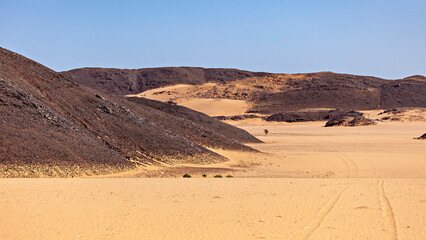 The desert landscape of the Sahara in Algeria