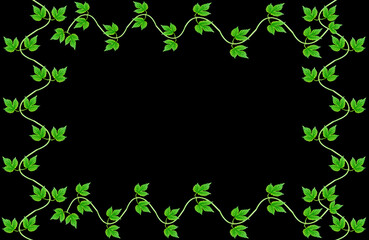 Hopfenranken auf schwarzen Hintergrund	
