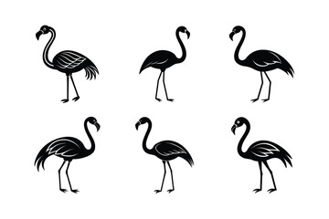 Set of Flamingo silhouette vector illustration