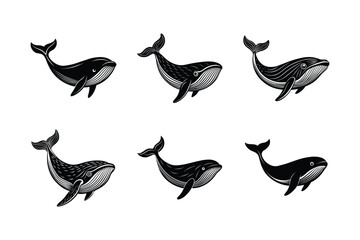 Set of Whale silhouette vector illustration