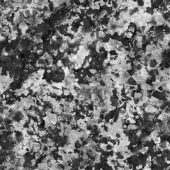 Lichen Surface