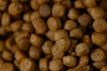 Nourishing pet food pellets scattered in a vibrant kitchen setting during the golden afternoon light