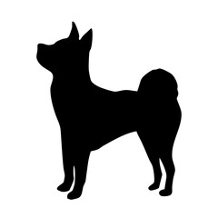 横を向く見つめる犬　モノクロシルエットイラスト