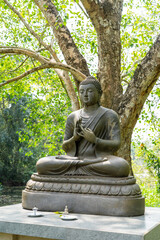 Obraz premium Buddha Statue Amidst the Forest of Sri Lanka