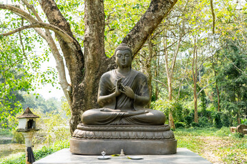 Obraz premium Buddha Statue Amidst the Forest of Sri Lanka