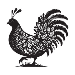 Grouse Bird Silhouette Vector Illustration, Solid White Background.