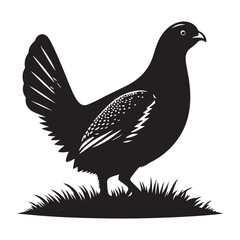 Grouse Bird Silhouette Vector Illustration, Solid White Background.