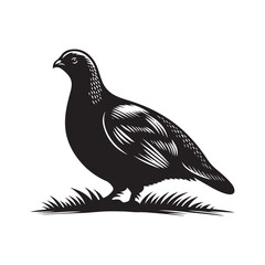 Grouse Bird Silhouette Vector Illustration, Solid White Background.
