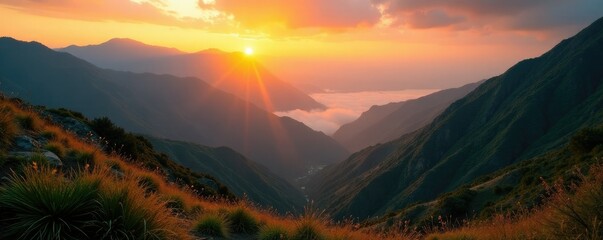 Golden hues of sunset paint Alishan's rugged terrain, taiwan, chiayi