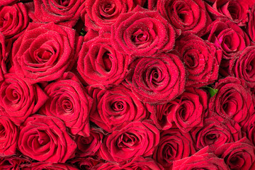 Many bright red  are a top view. 