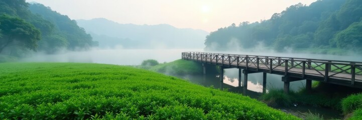 Obraz premium misty morning scene with a wooden footbridge crossing over the calm lake in a field of green tea plants, nature, morning, green tea