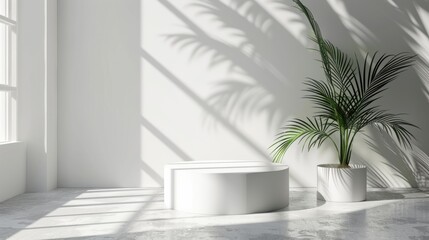 Fototapeta premium Minimal white room, cylinder podium, subtle palm leaf shadows, abstract product display setup