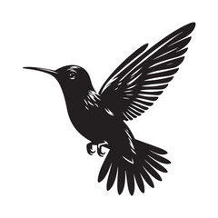 Humming bird Silhouette Vector Illustration, Solid White Background.