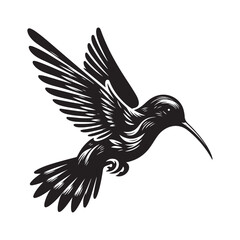 Humming bird Silhouette Vector Illustration, Solid White Background.