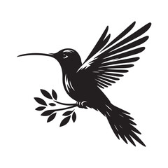 Humming bird Silhouette Vector Illustration, Solid White Background.