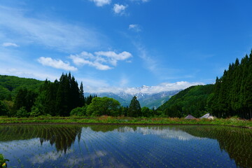 初夏の青鬼地区。白馬、長野、日本。5月下旬。
