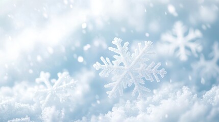 Close-up of delicate snowflakes gently resting on soft snow, creating a serene winter atmosphere.