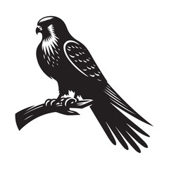 Kestrel bird Silhouette Vector Illustration, Solid White Background.