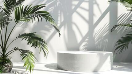 Fototapeta premium Minimal white room, cylinder podium, subtle palm leaf shadows, abstract product display setup