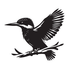 Kingfisher bird Silhouette Vector Illustration, Solid White Background.