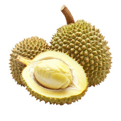 Fresh Durian Fruit with Spiky Shell and Flesh 