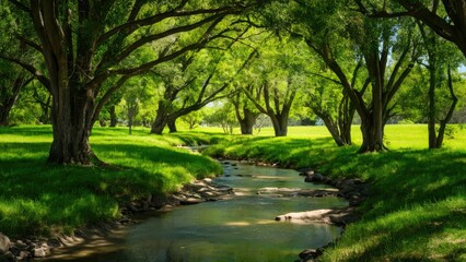 Obraz premium Serene stream flowing through lush green landscape with dappled sunlight filtering through tall trees creating natural shade and vibrant greenery.