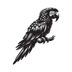Macaw bird Silhouette Vector Illustration, Solid White Background.