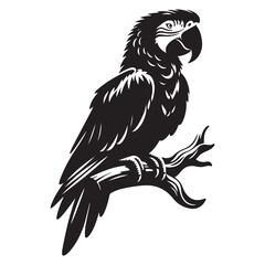 Macaw bird Silhouette Vector Illustration, Solid White Background.