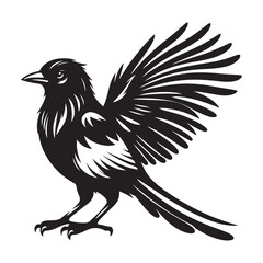Magpie bird Silhouette Vector Illustration, Solid White Background.