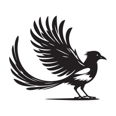 Magpie bird Silhouette Vector Illustration, Solid White Background.