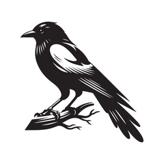 Naklejka premium Magpie bird Silhouette Vector Illustration, Solid White Background.