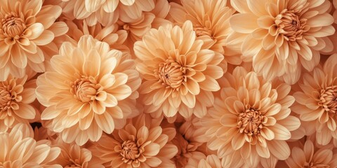 Soft peach flower texture featuring intricately detailed blossoms arranged densely, ideal for enriching backgrounds and creative design projects.