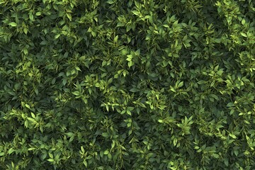 Obraz premium Dense Green Leafy Foliage Background Full Frame Nature Texture for Design and Decoration