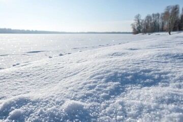 Fototapeta premium Closeup of Sparkling Snow Cover on a Frozen Lake with Trees and Clear Blue Sky in Winter