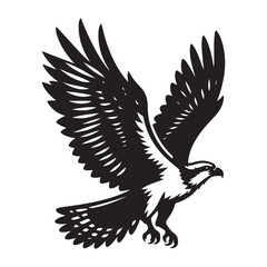 Osprey bird Silhouette Vector Illustration, Solid White Background.