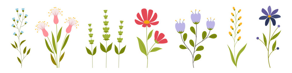 Botanical set of wild and garden flowers. Сute spring flowers and leaves in flat style. Blooming season. Hand drawn floral elements. Vector illustration for greeting card, poster, banner, textile.