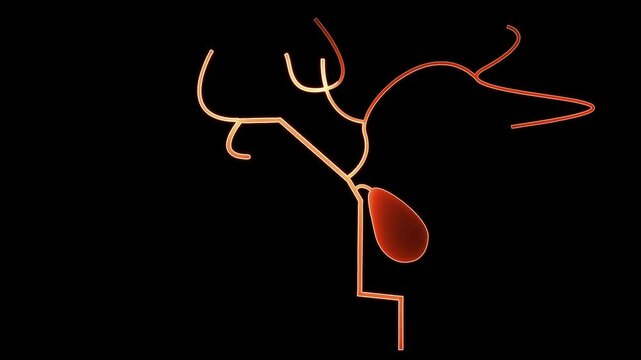 Gallbladder zoom with organs