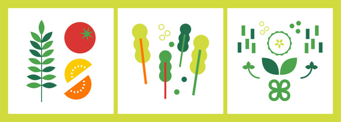 Set of 3 square abstract flat vector illustration with green veggies. Fresh vegetables. Salad. Greens icon set. Food background for poster, banner, cover design, print. Go vegan. Healthy food concept