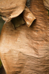 Brown color of dry banana leaf for background	