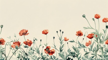 a red poppy, with red flowers and green leaves against a white background